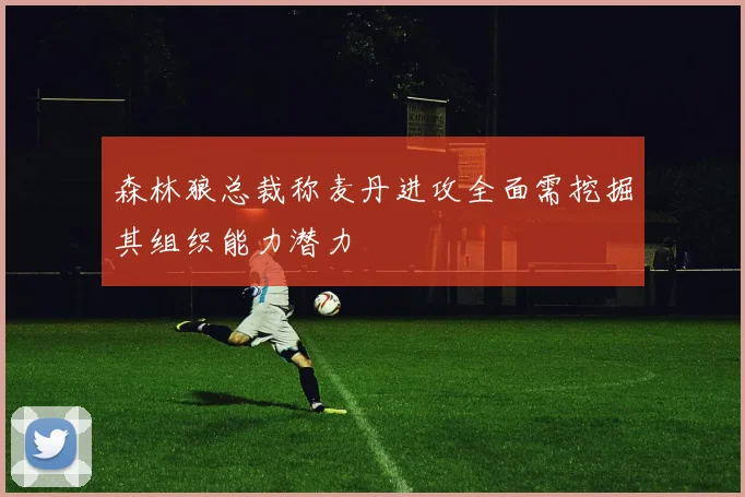 森林狼总裁称麦丹进攻全面需挖掘其组织能力潜力
