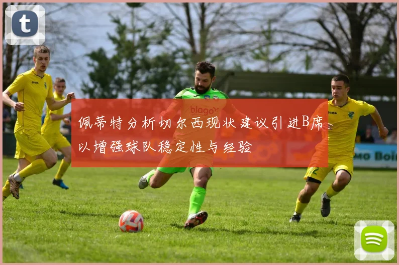 佩蒂特分析切尔西现状建议引进B席以增强球队稳定性与经验